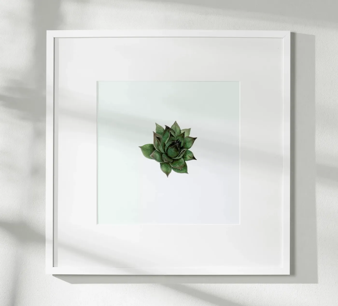 Succulent 2 poster da Maria Vdovichenko