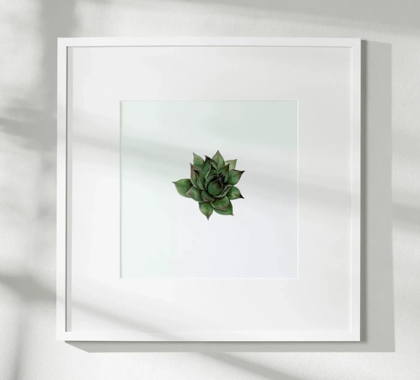 Succulent 2 poster da Maria Vdovichenko