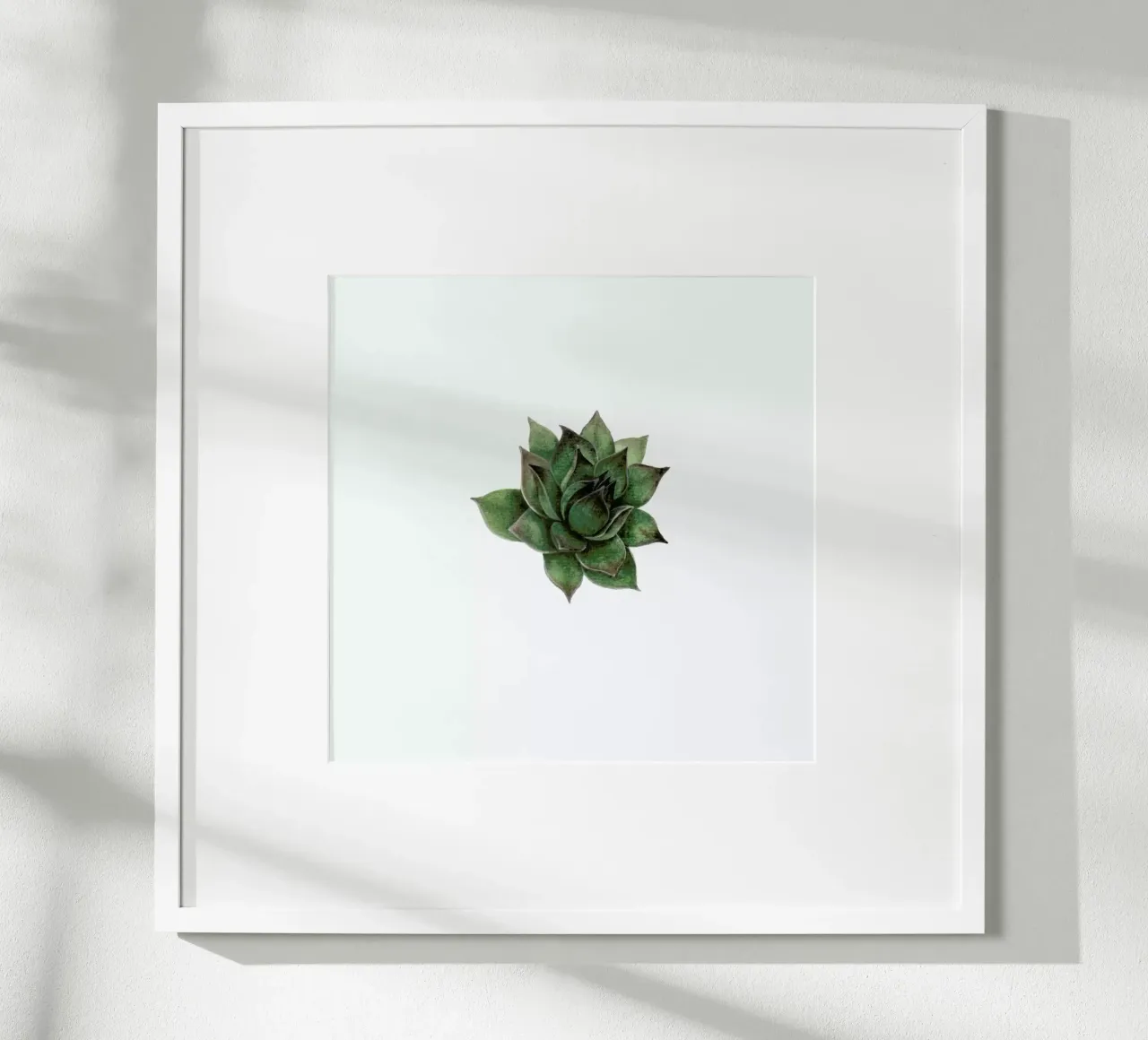 Succulent 2 poster da Maria Vdovichenko