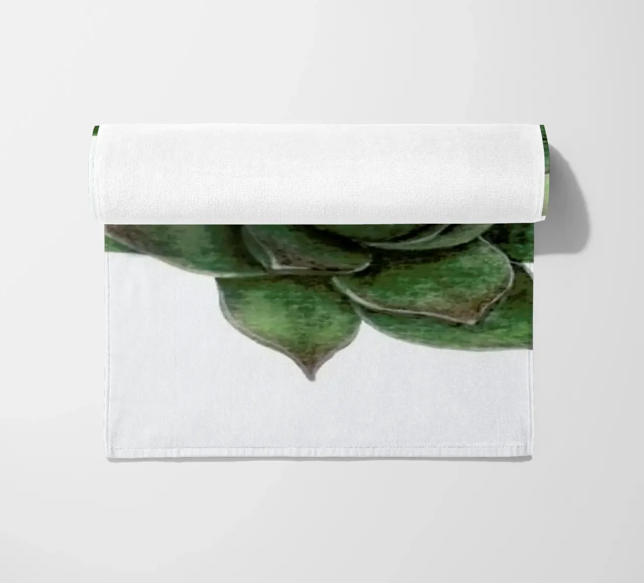 Succulent 2 telo mare da Maria Vdovichenko