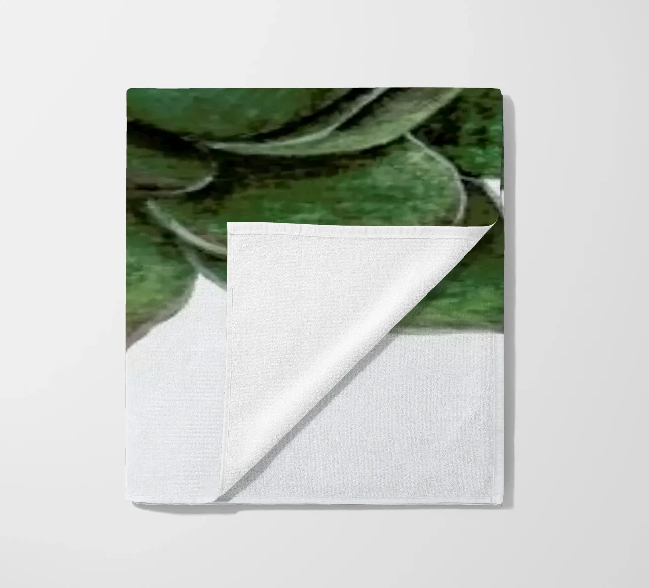 Succulent 2 telo mare da Maria Vdovichenko