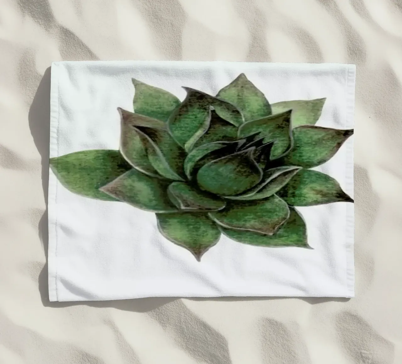 Succulent 2 telo mare da Maria Vdovichenko