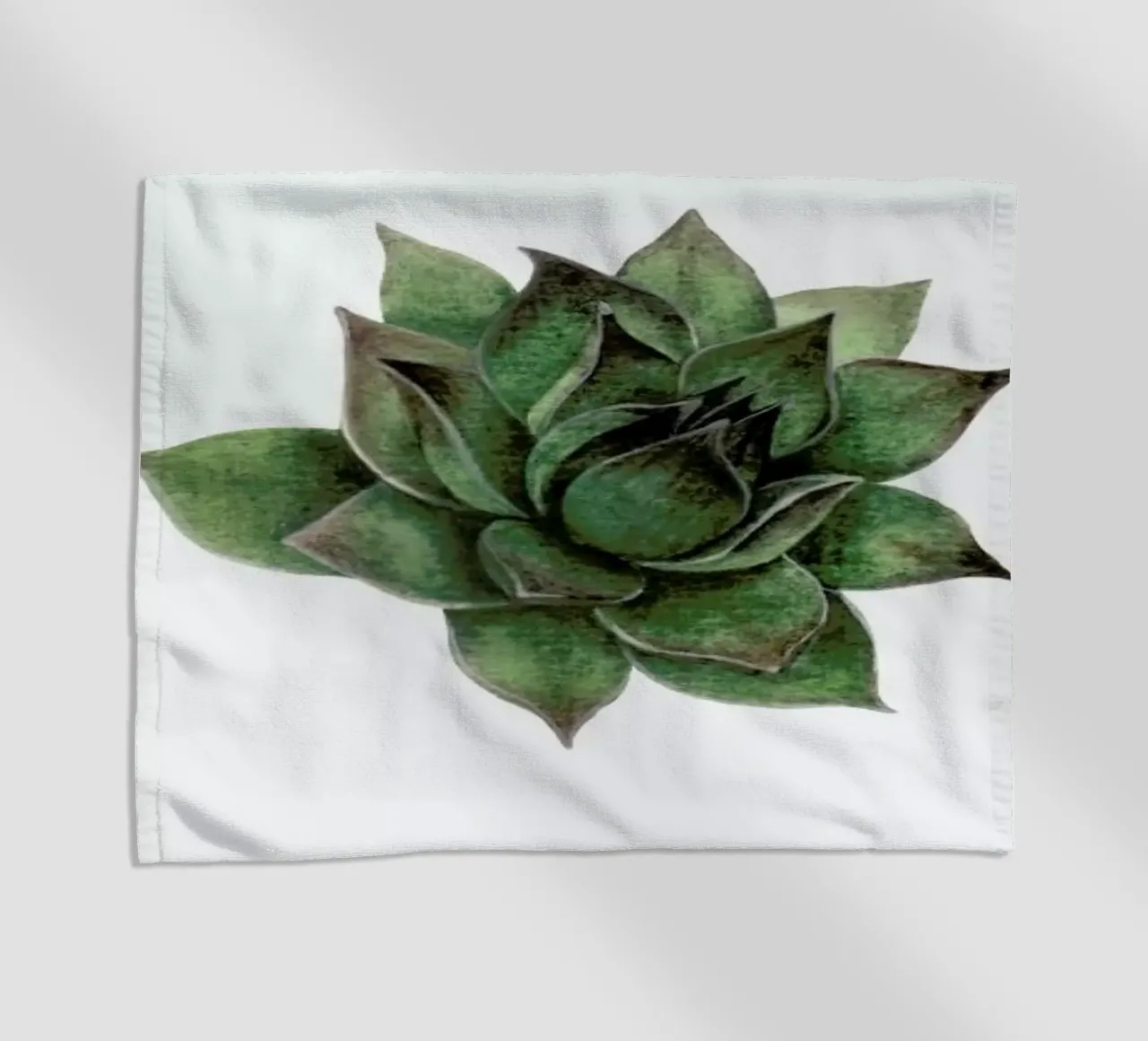 Succulent 2 telo mare da Maria Vdovichenko