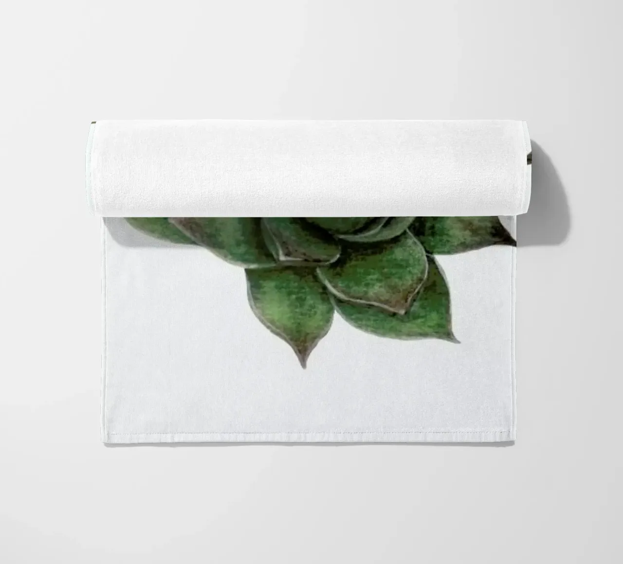 Succulent 2 telo mare da Maria Vdovichenko