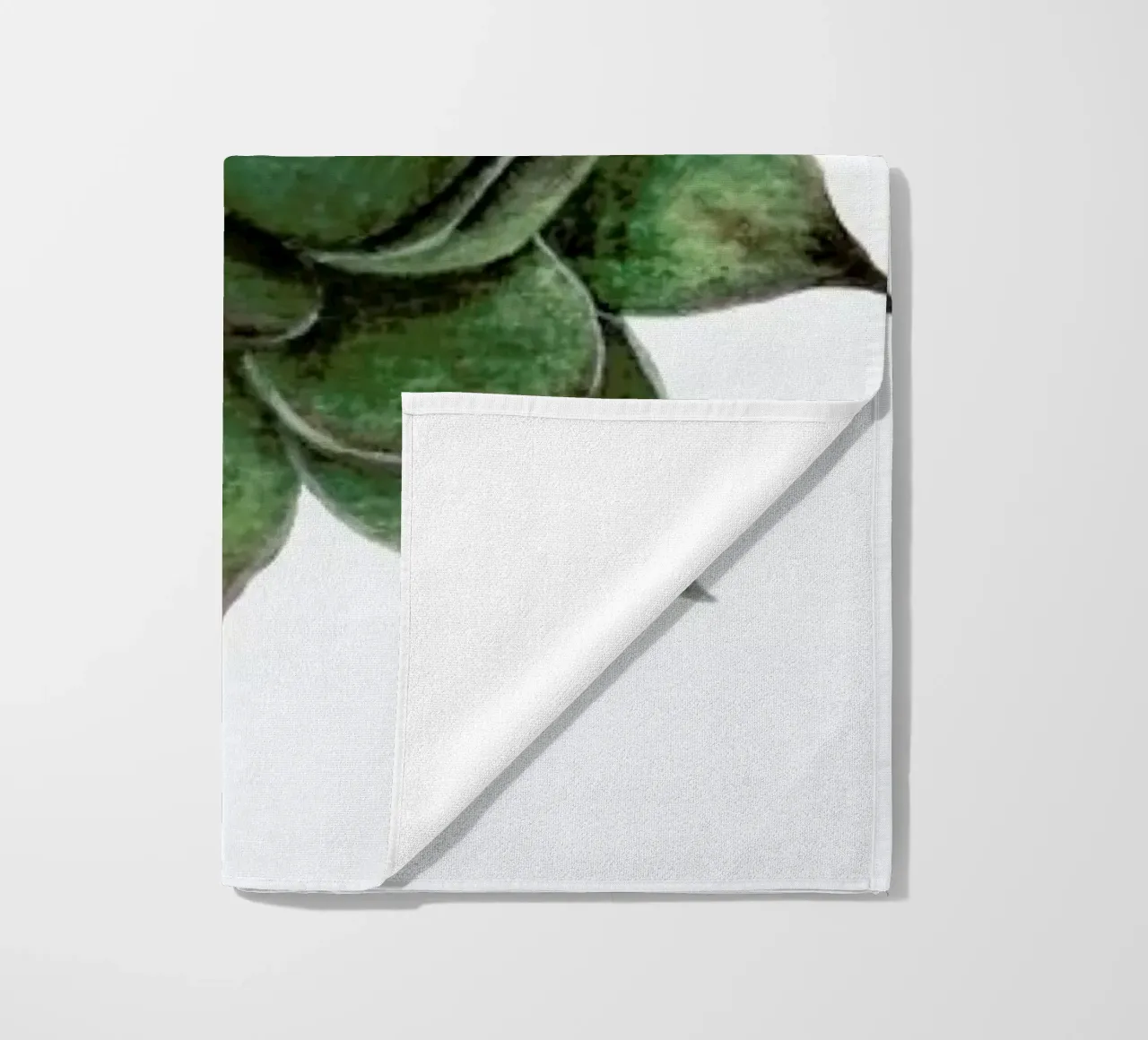 Succulent 2 telo mare da Maria Vdovichenko