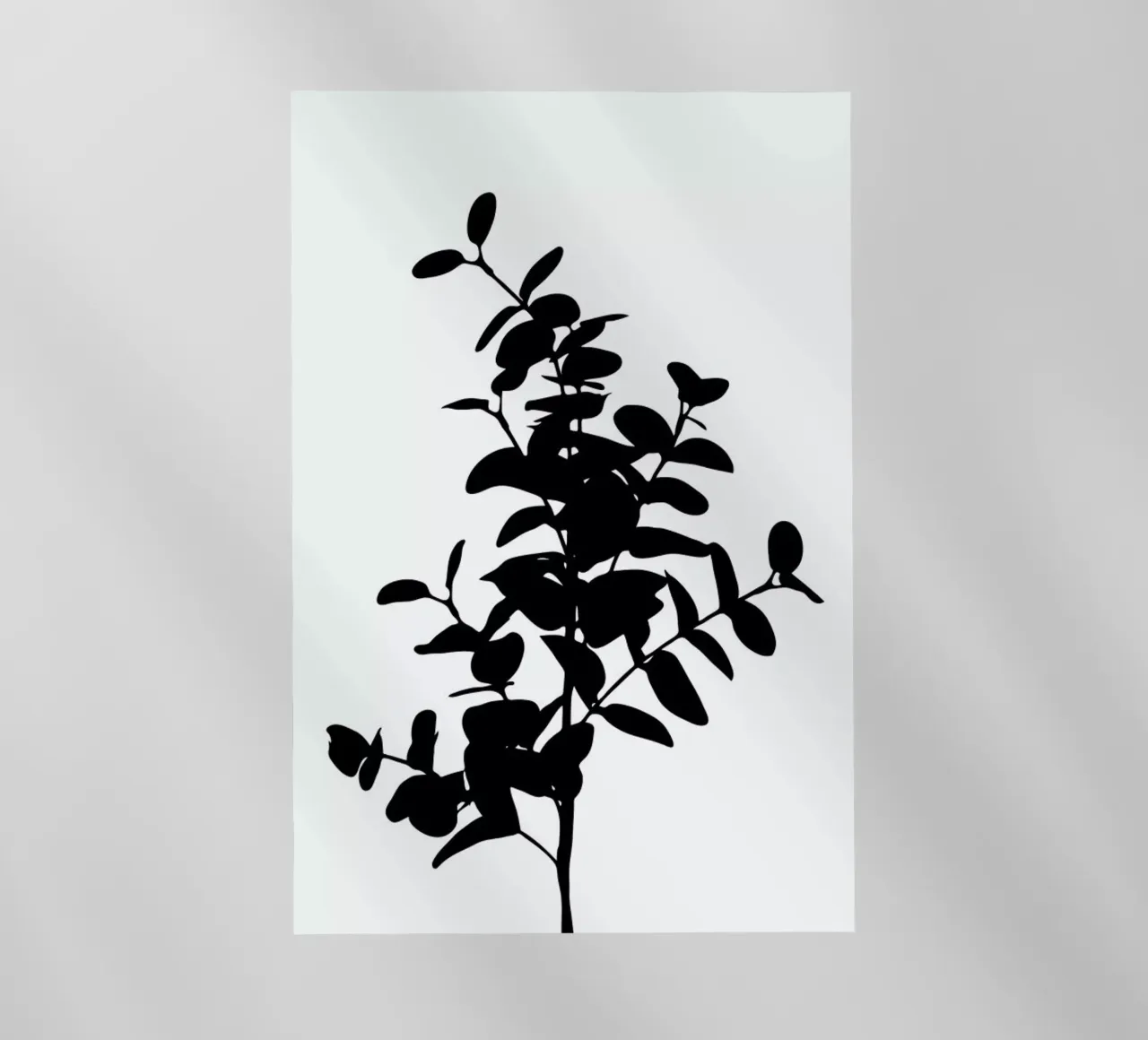 Eucalyptus Bunch pellicola backlit da Oh Darling