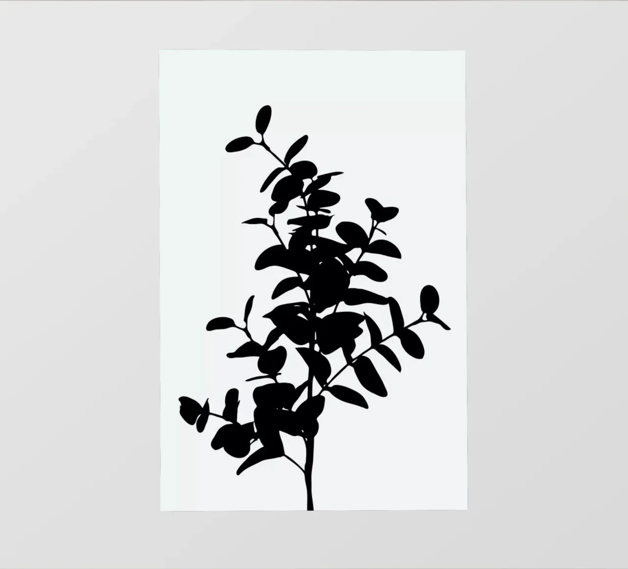 Eucalyptus Bunch pellicola backlit da Oh Darling