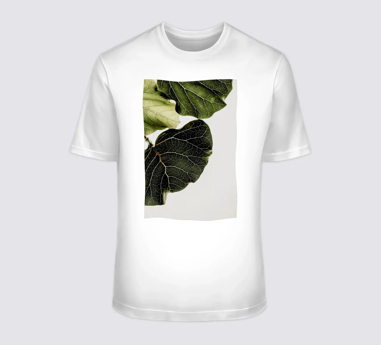 Abutifolia 01 t-shirt da Shot By Clint