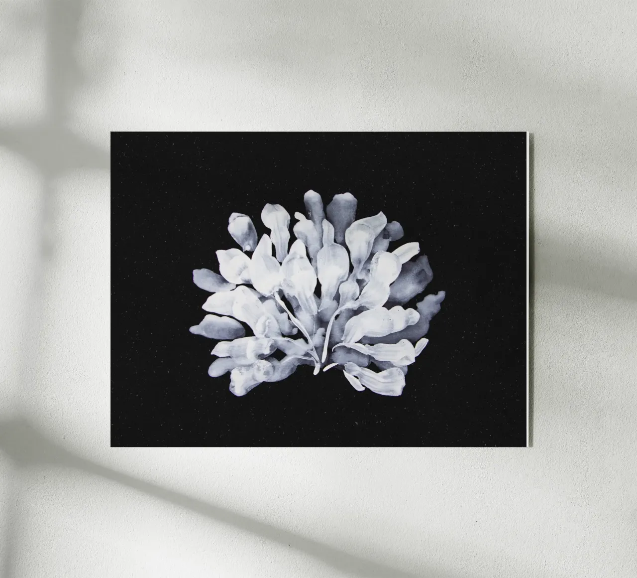 Algae acrylic glass by Leaflover