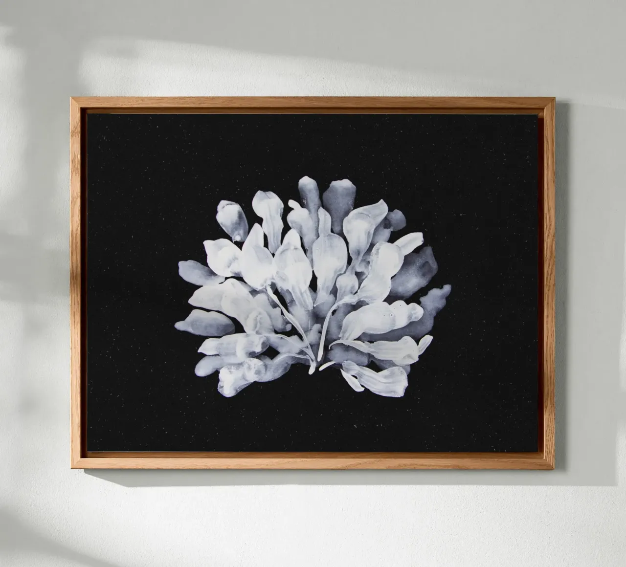 Algae forex-plaat van Leaflover