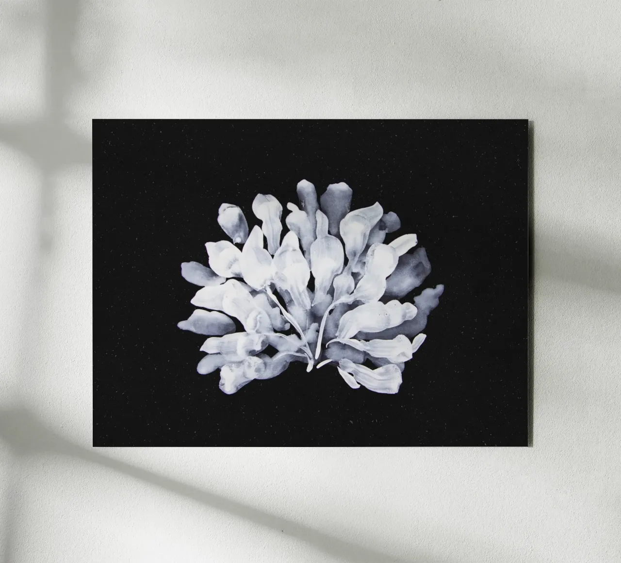 Algae forex-plaat van Leaflover