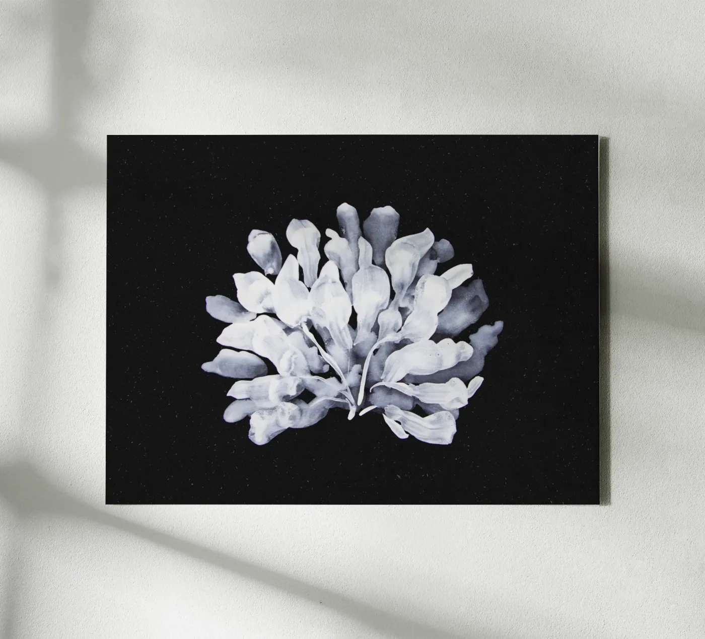 Algae canvas by Leaflover