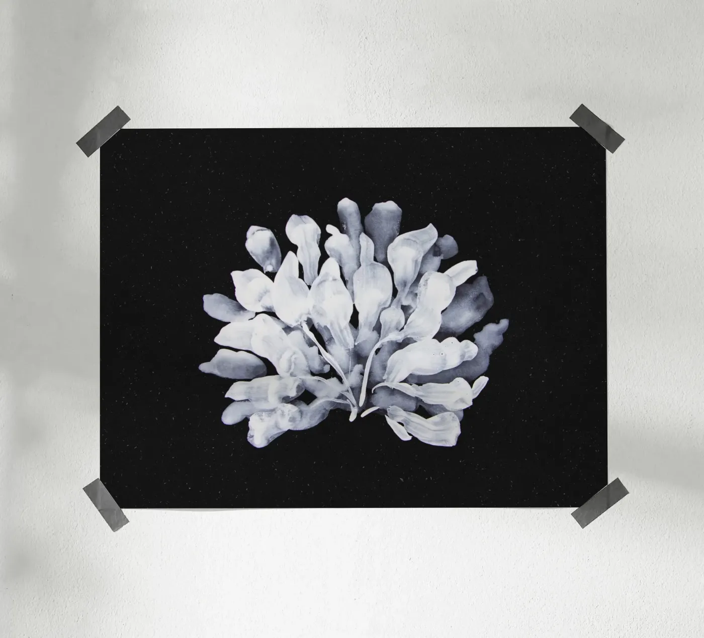 Algae poster de Leaflover