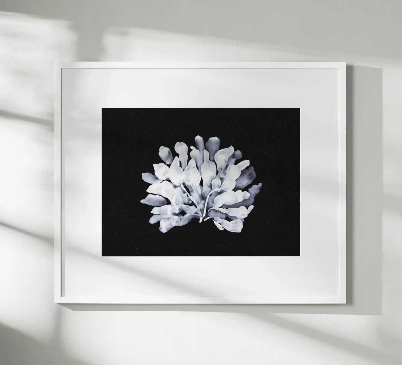 Algae poster de Leaflover