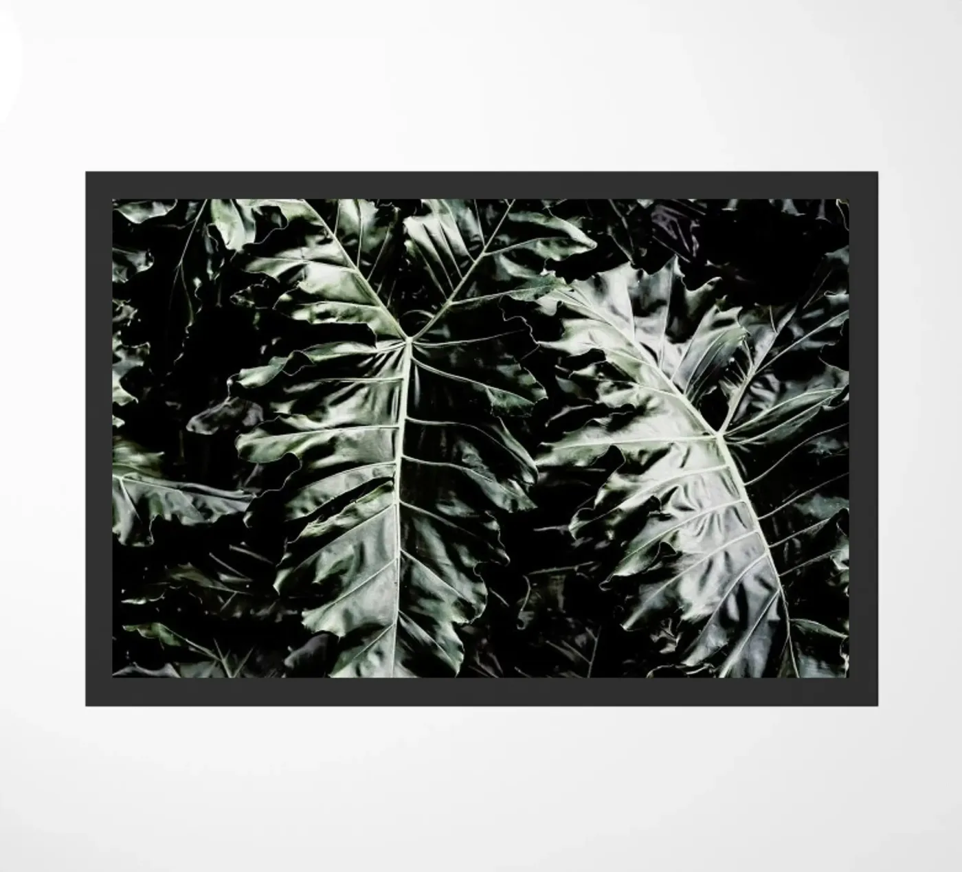 Delious Monster deurmat van Shot By Clint