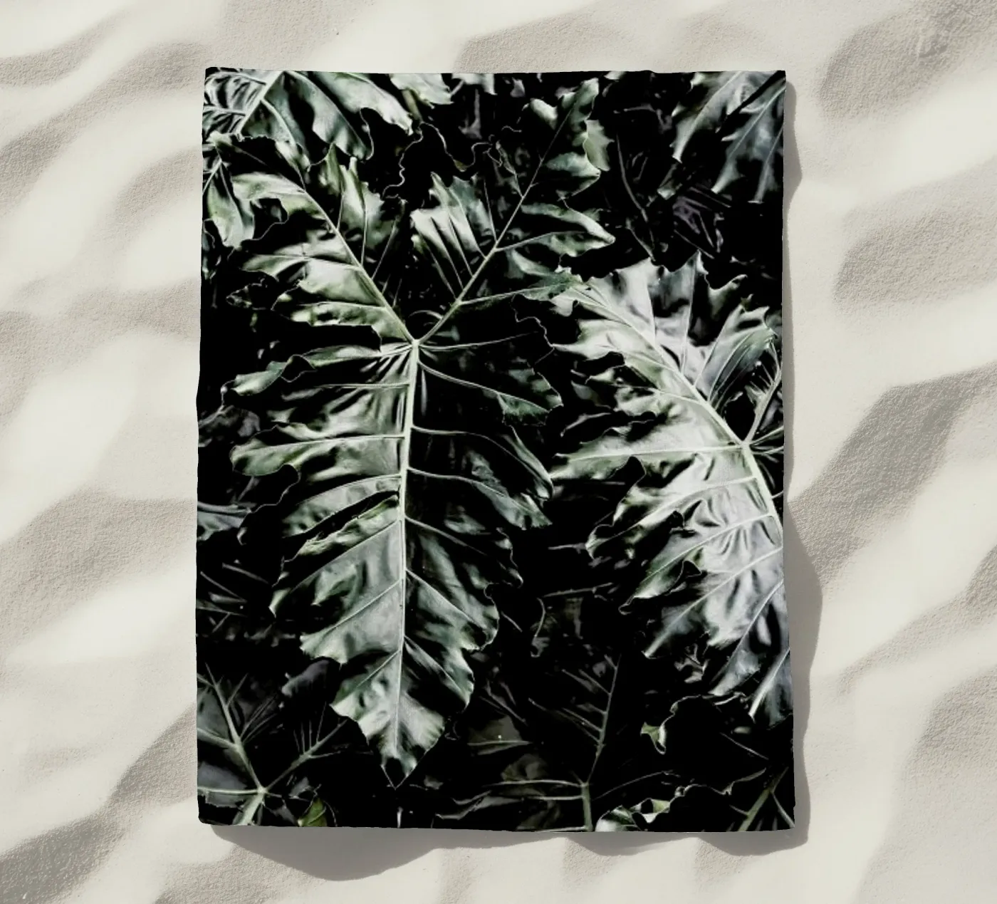 Delious Monster telo mare da Shot By Clint