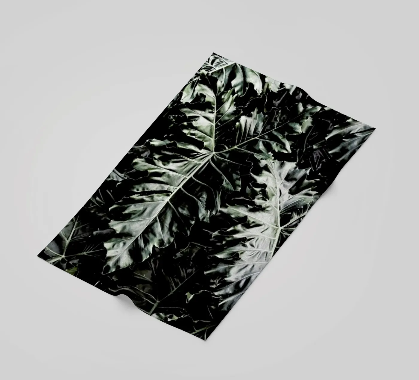 Delious Monster telo mare da Shot By Clint