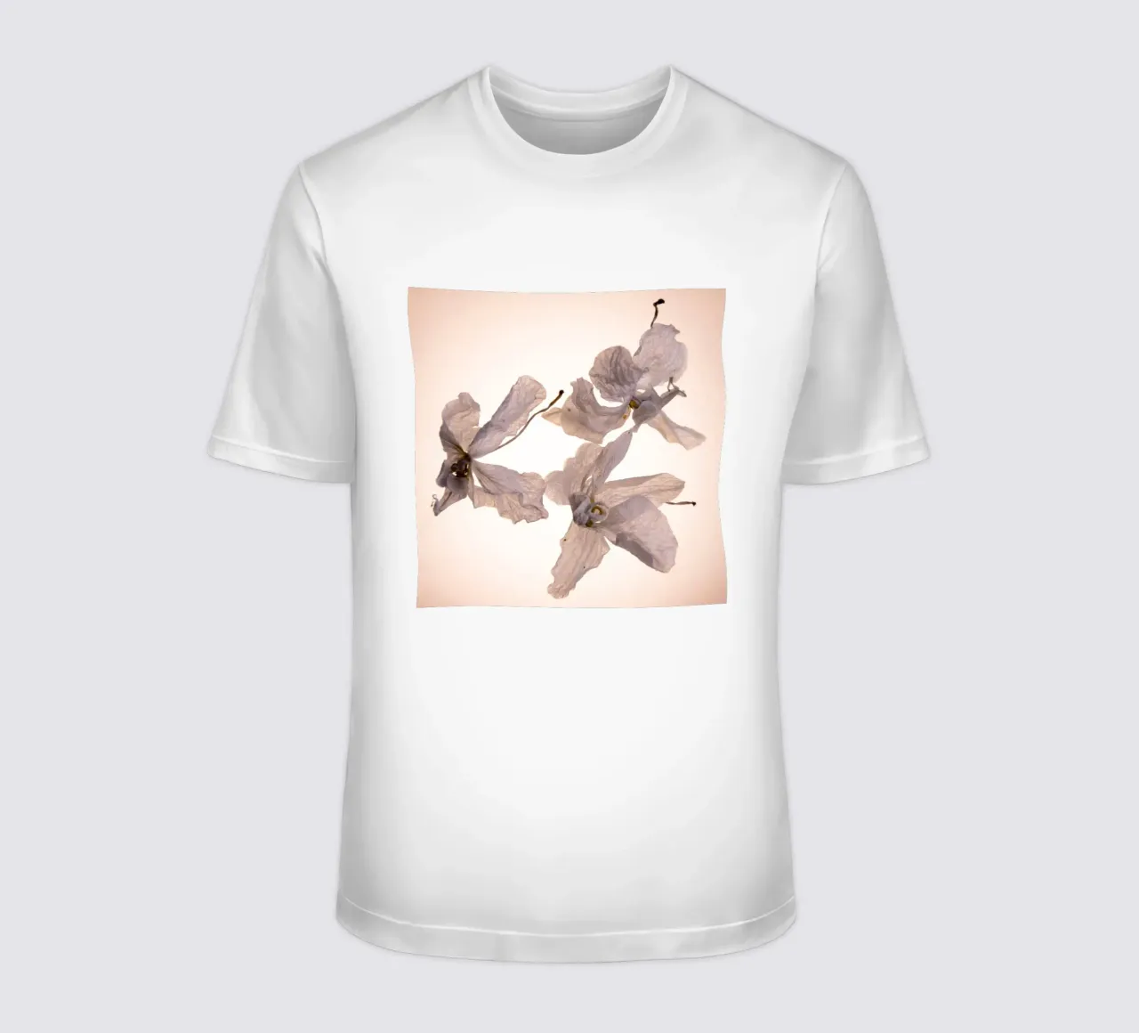 Orchidee bianche t-shirt da Teresa André