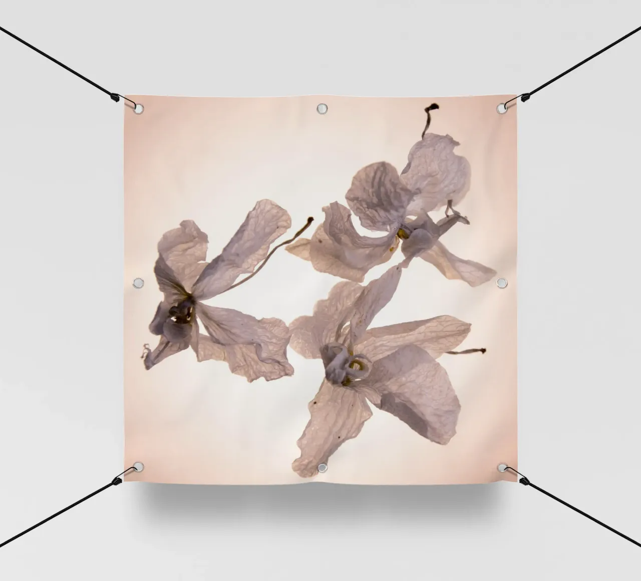 Orchidee bianche telo in pvc da Teresa André