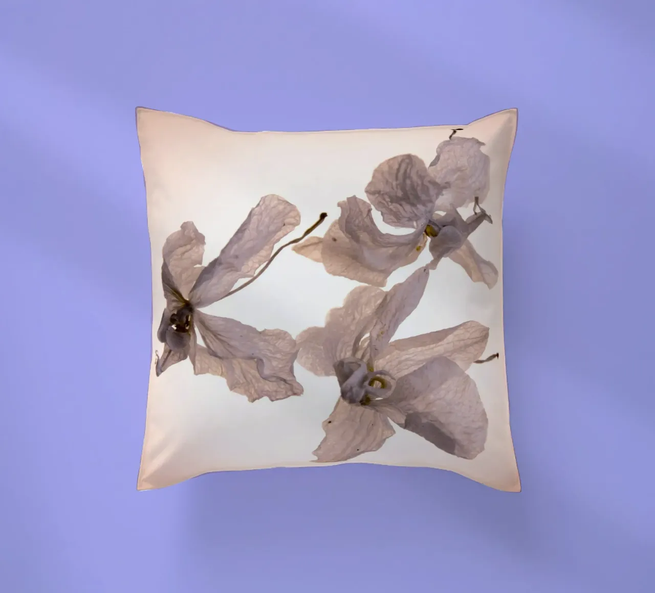 Orchidee bianche cuscino da Teresa André