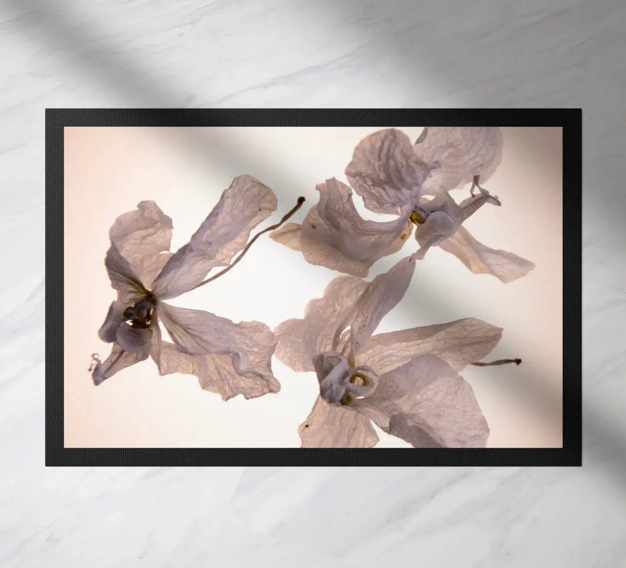 Orchidee bianche zerbino da Teresa André