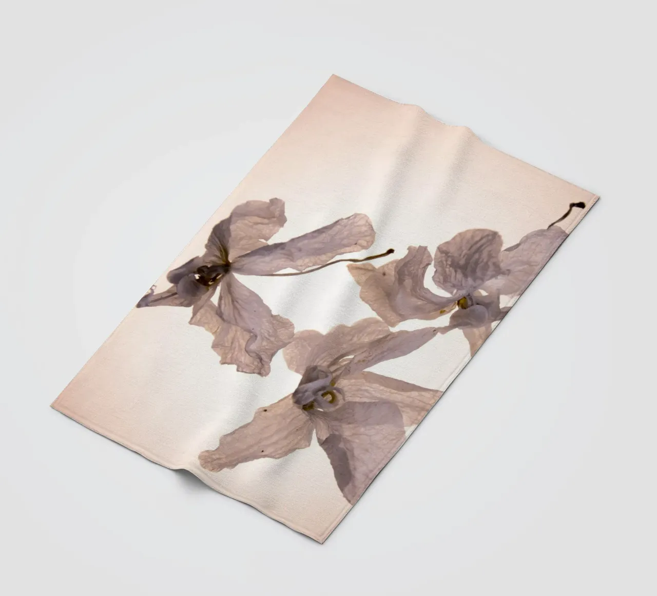 Orchidee bianche coperta in pile da Teresa André