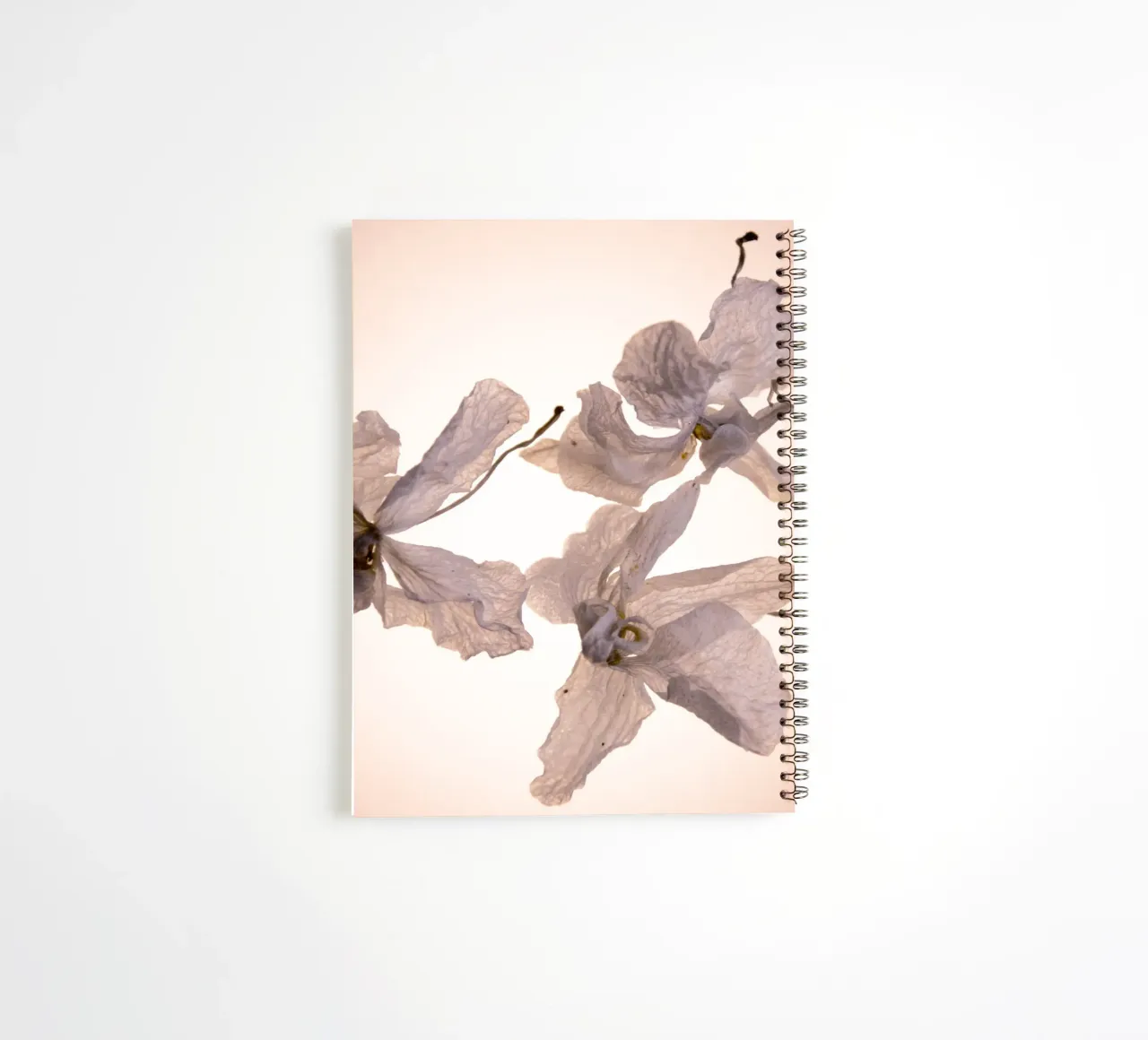 Orchidee bianche diario ad anelli da Teresa André