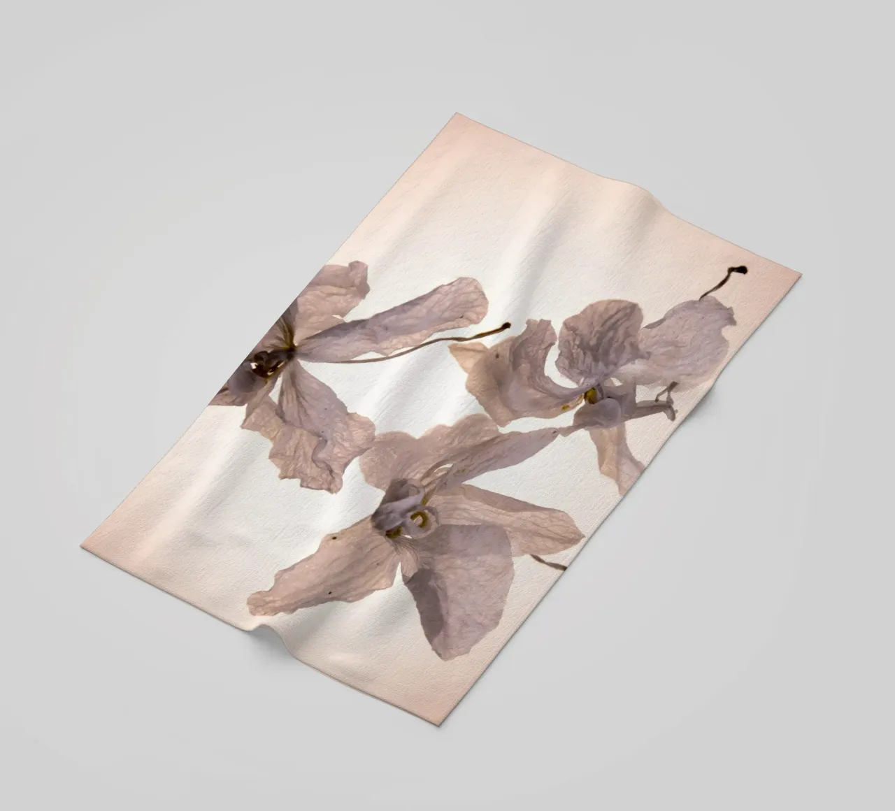 Orchidee bianche telo mare da Teresa André