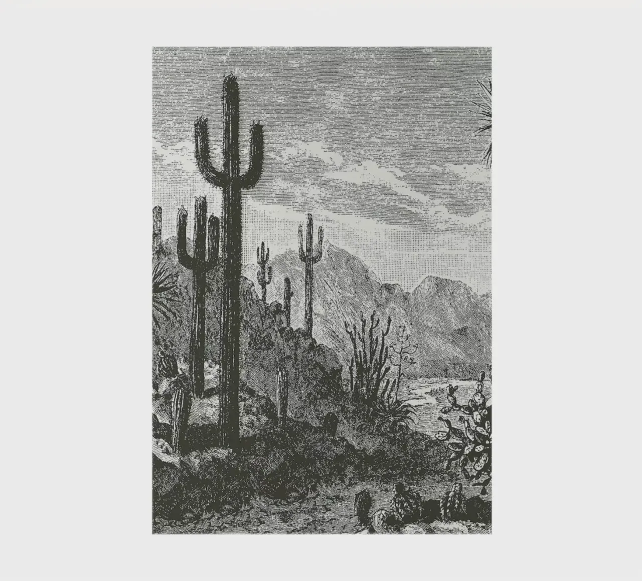 Cacti in Mountains notebook by Astër