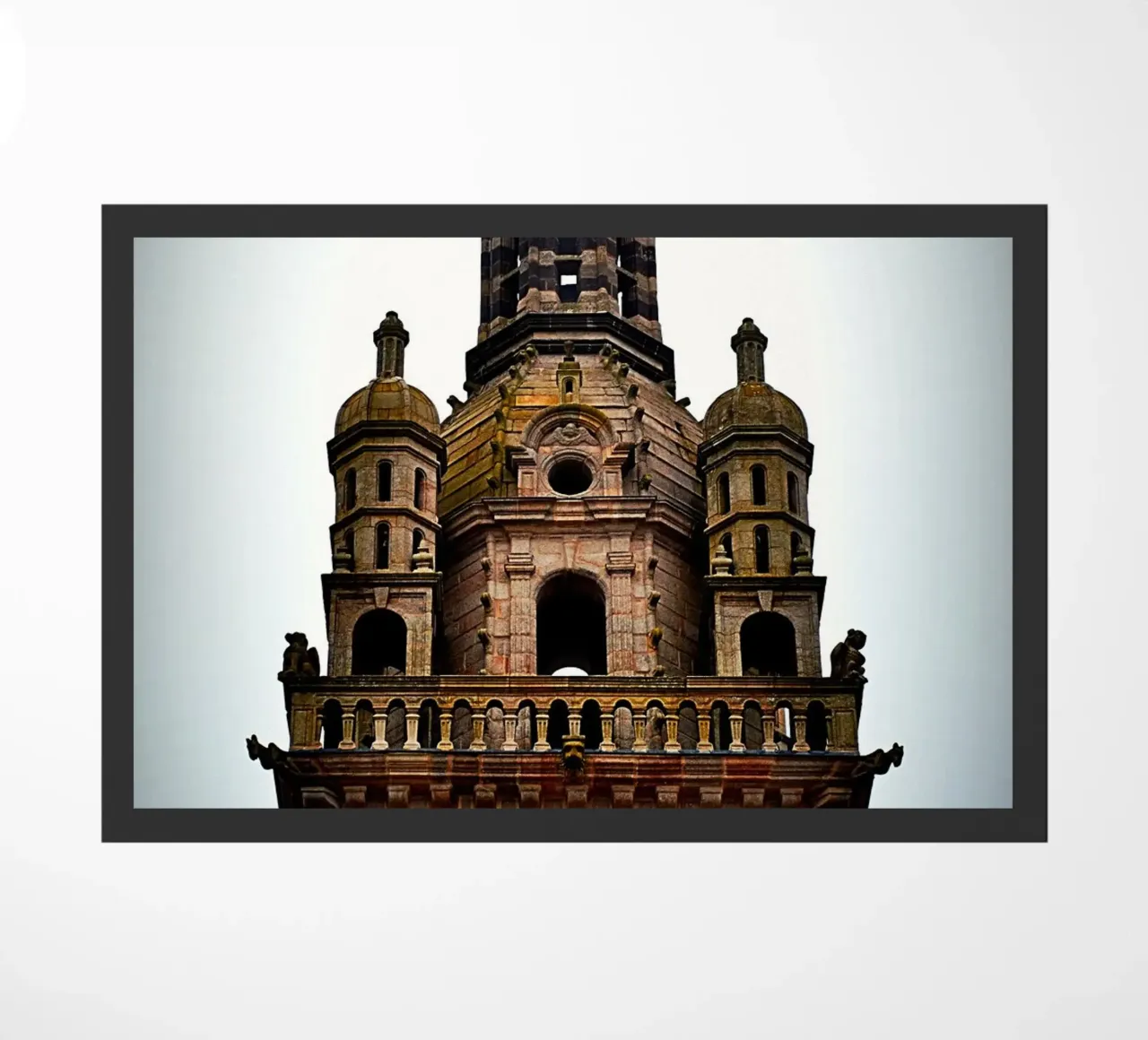 FAA248 zerbino da Thierry vobmann photography