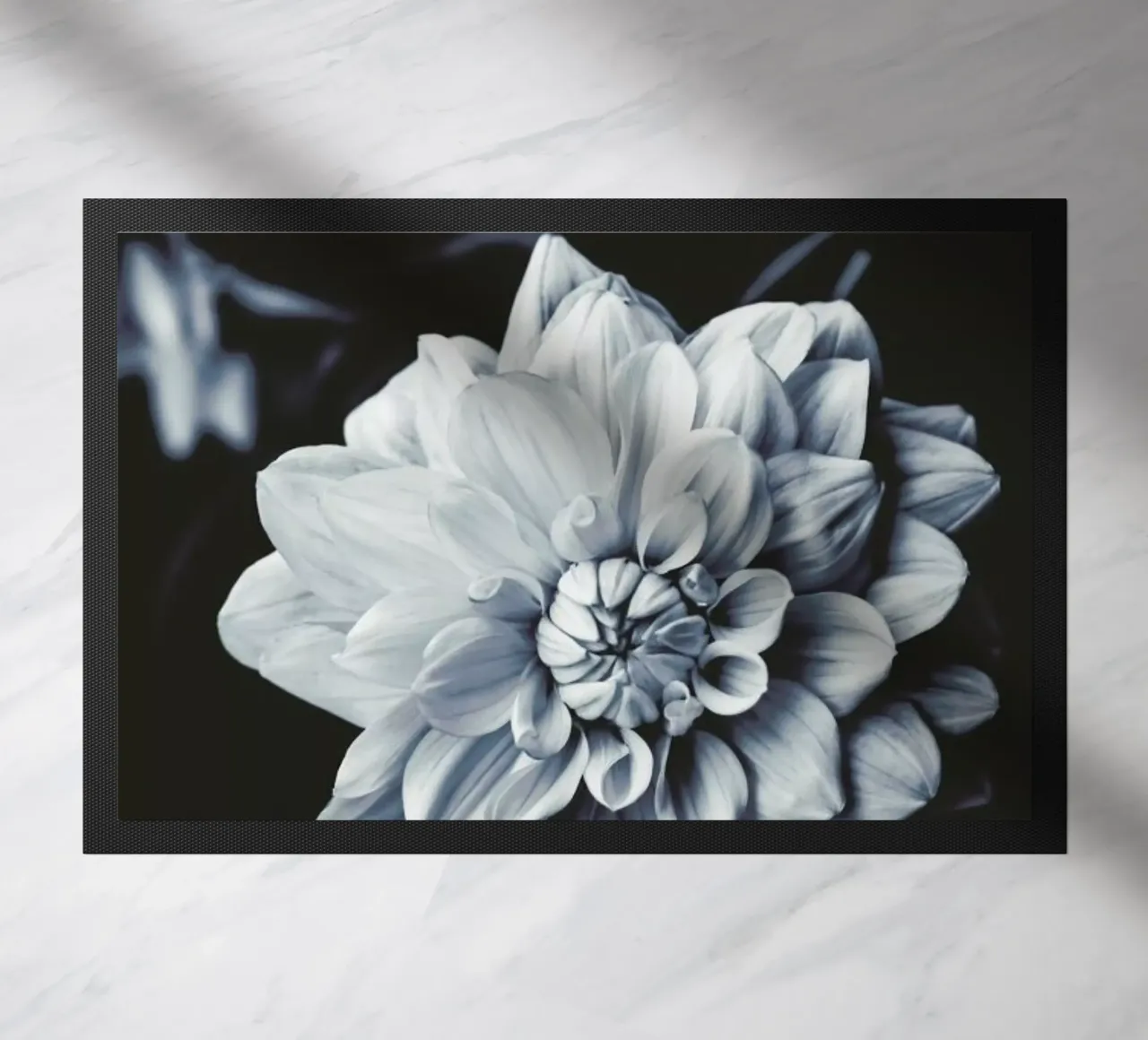 Dahlia Blues zerbino da Ingrid Beddoes