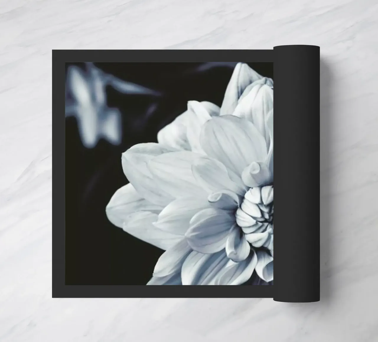 Dahlia Blues zerbino da Ingrid Beddoes