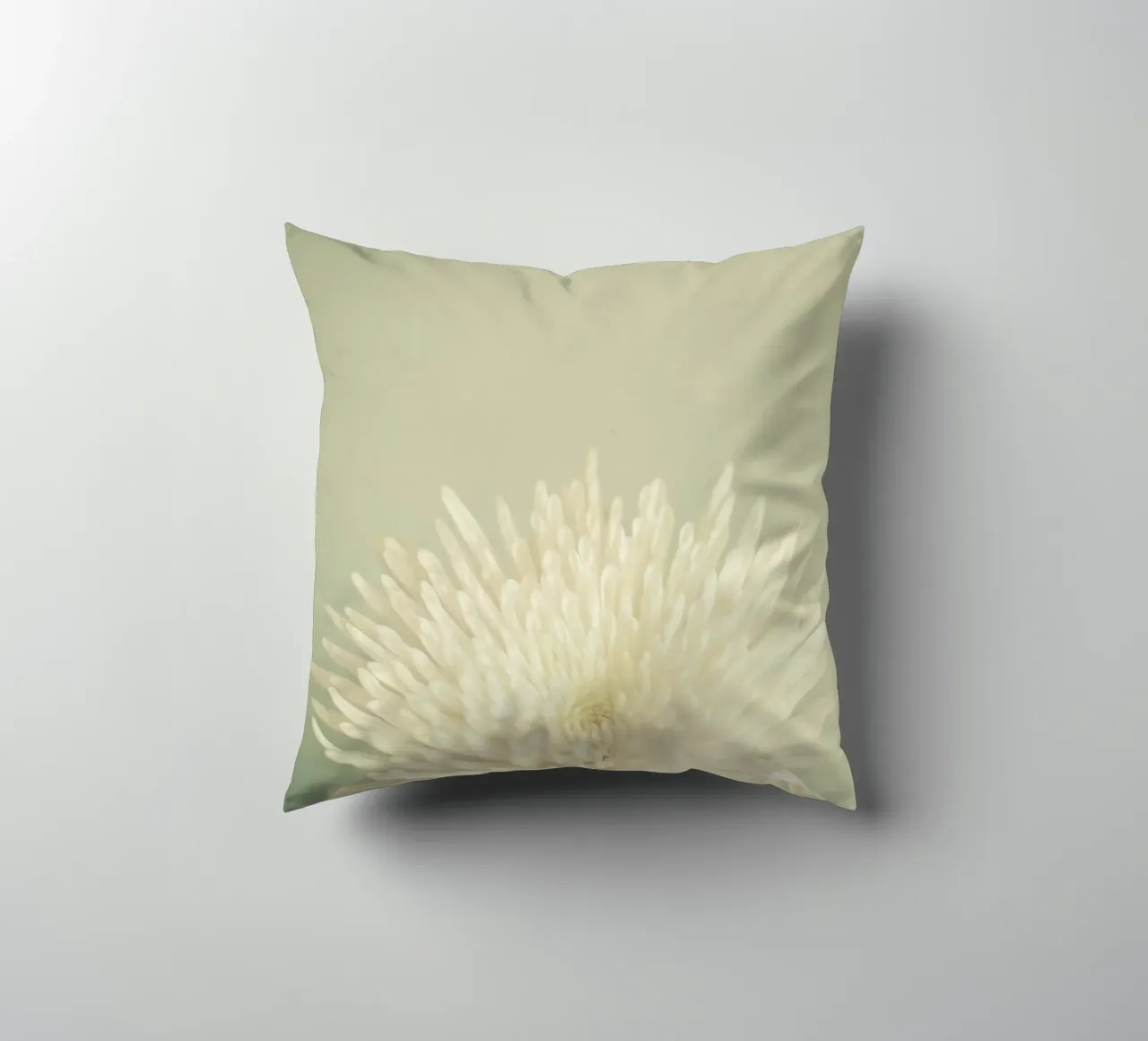 Bellezza pallida cuscino da Cassia Beck Photography