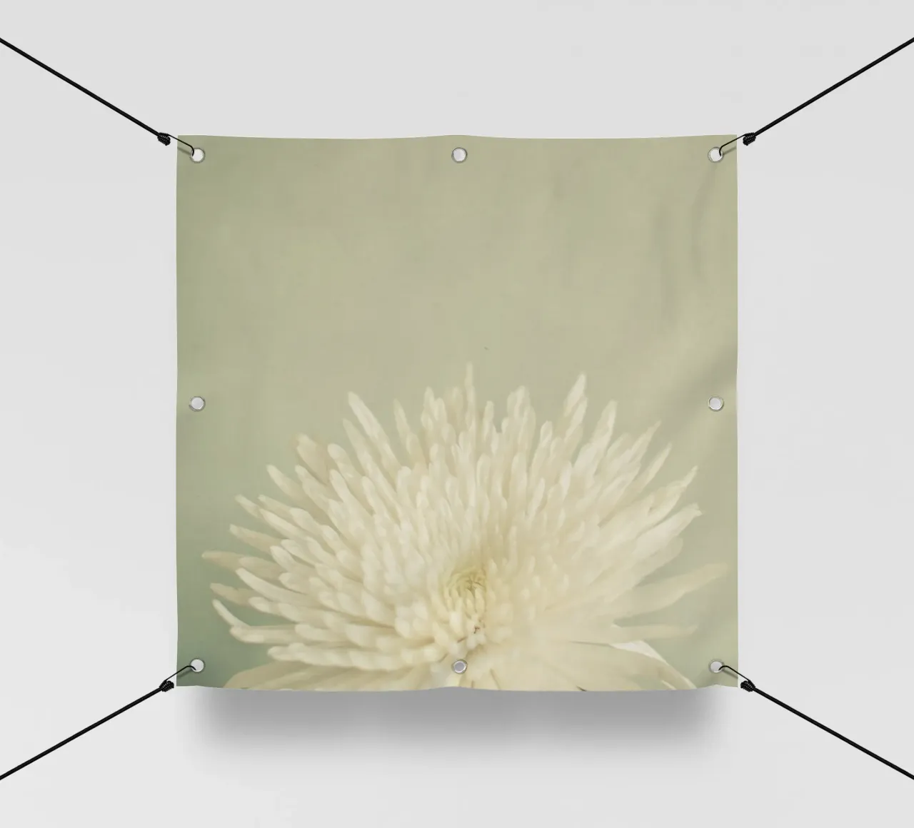 Bellezza pallida telo in pvc da Cassia Beck Photography
