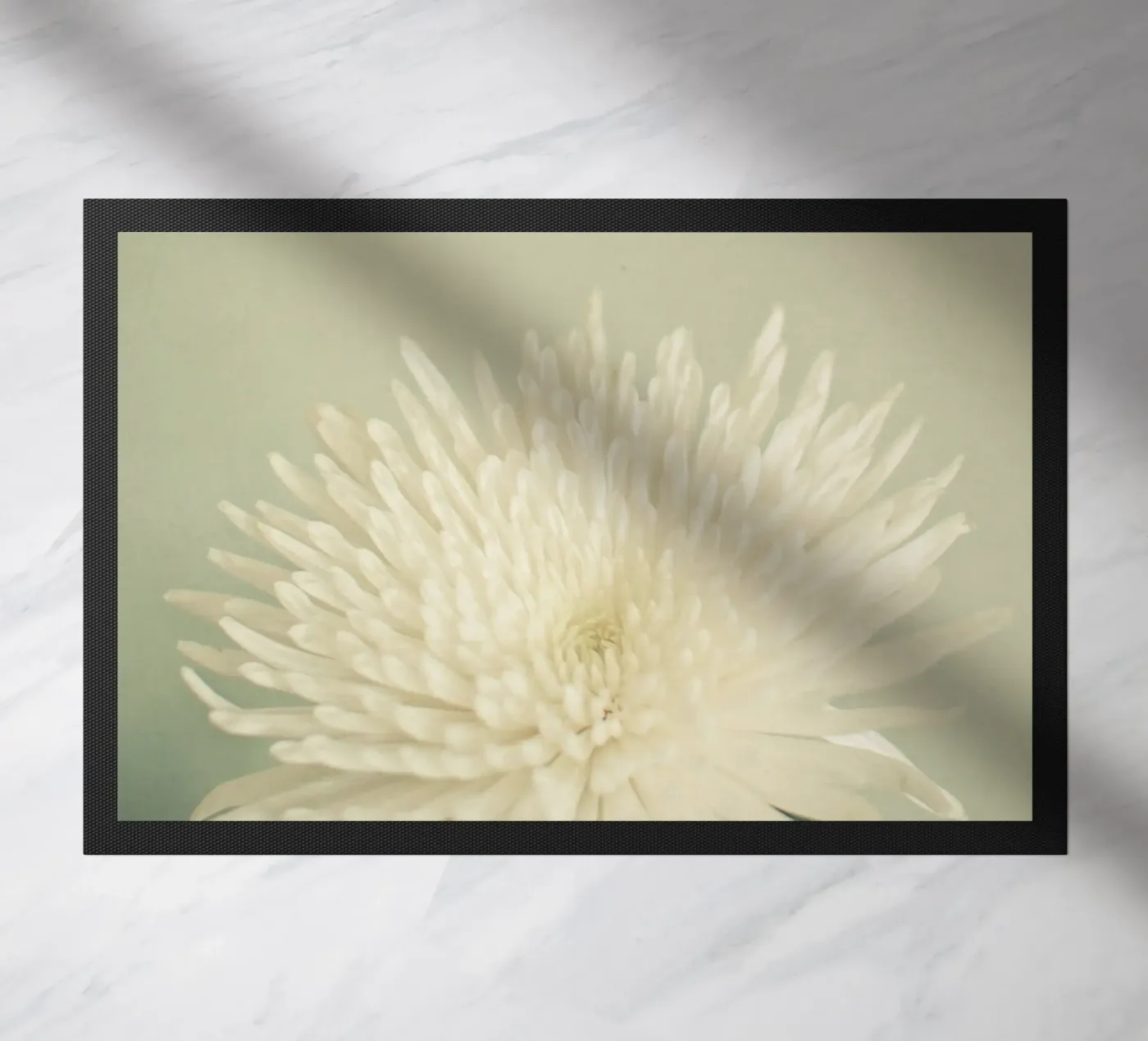 Bellezza pallida zerbino da Cassia Beck Photography