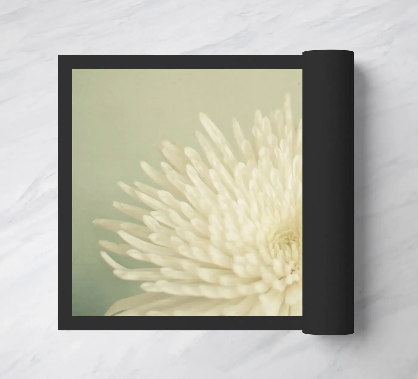 Bellezza pallida zerbino da Cassia Beck Photography