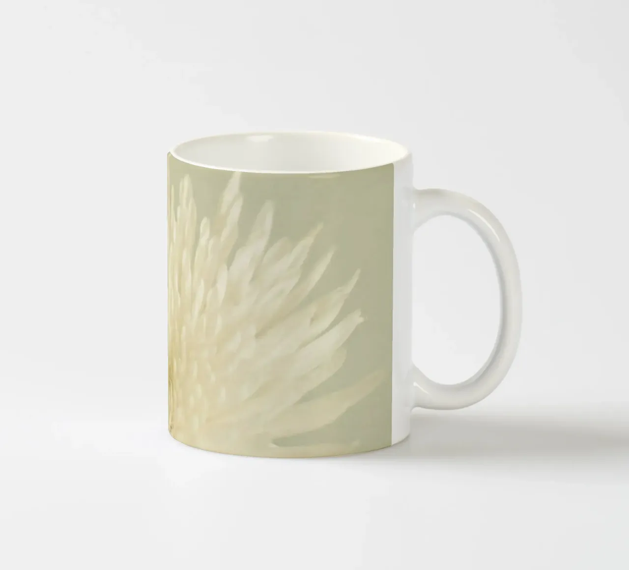 Bellezza pallida tazza in ceramica da Cassia Beck Photography