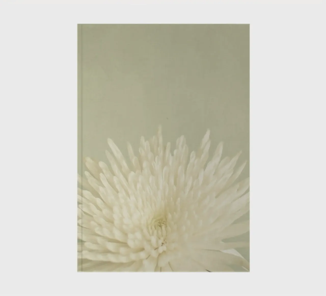 Pale Beauty notebook by Cassia Beck Photography