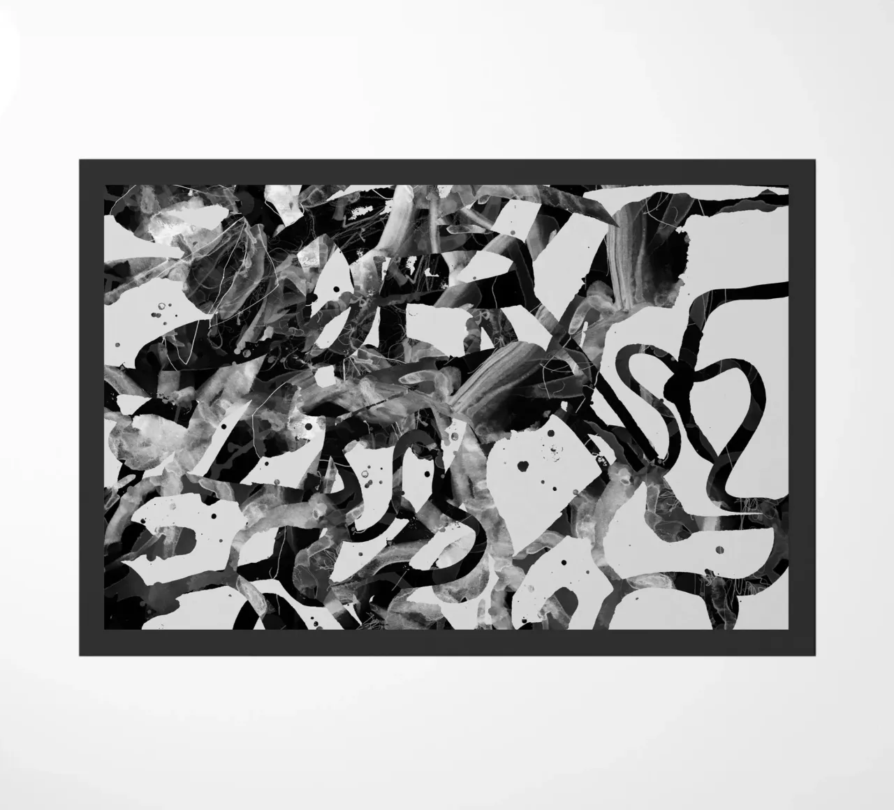 splashbw zerbino da Giulio Iurissevich