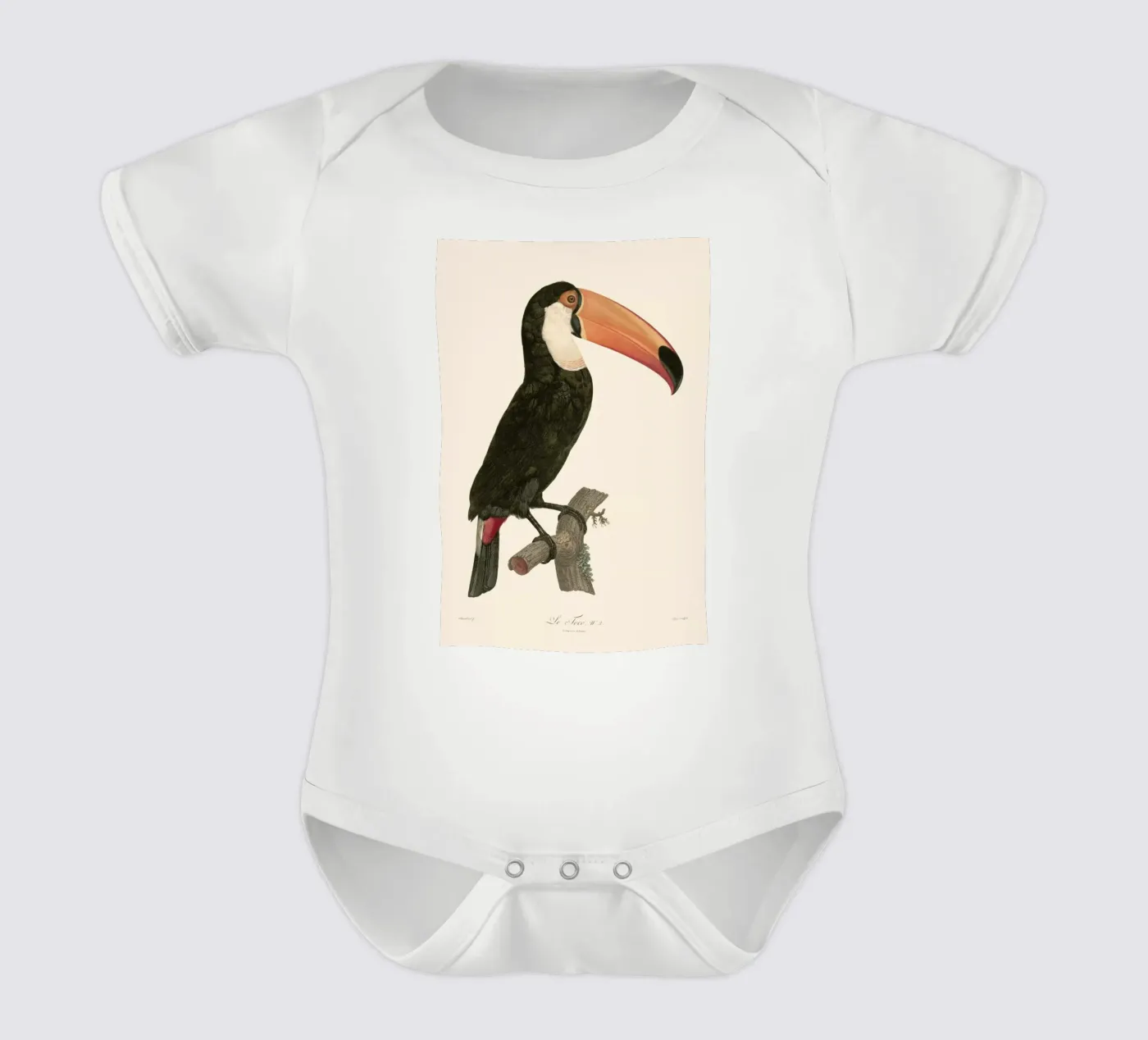 Le Toco body bébé de Astër