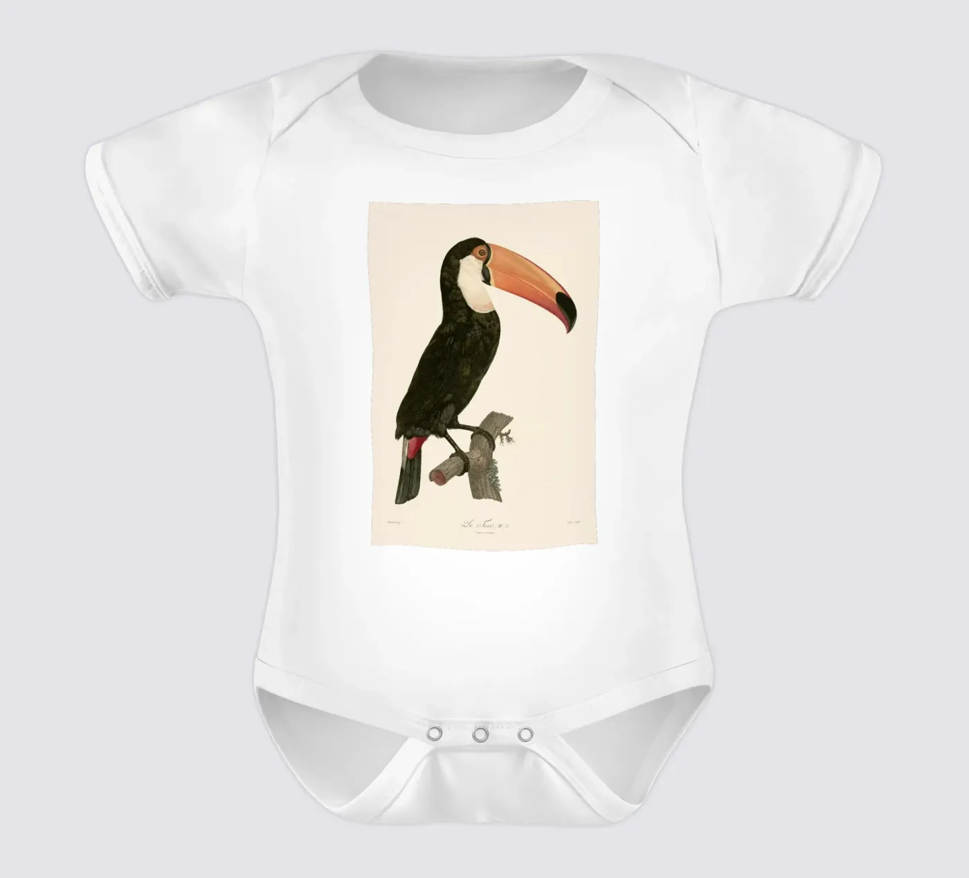 Le Toco body bébé de Astër