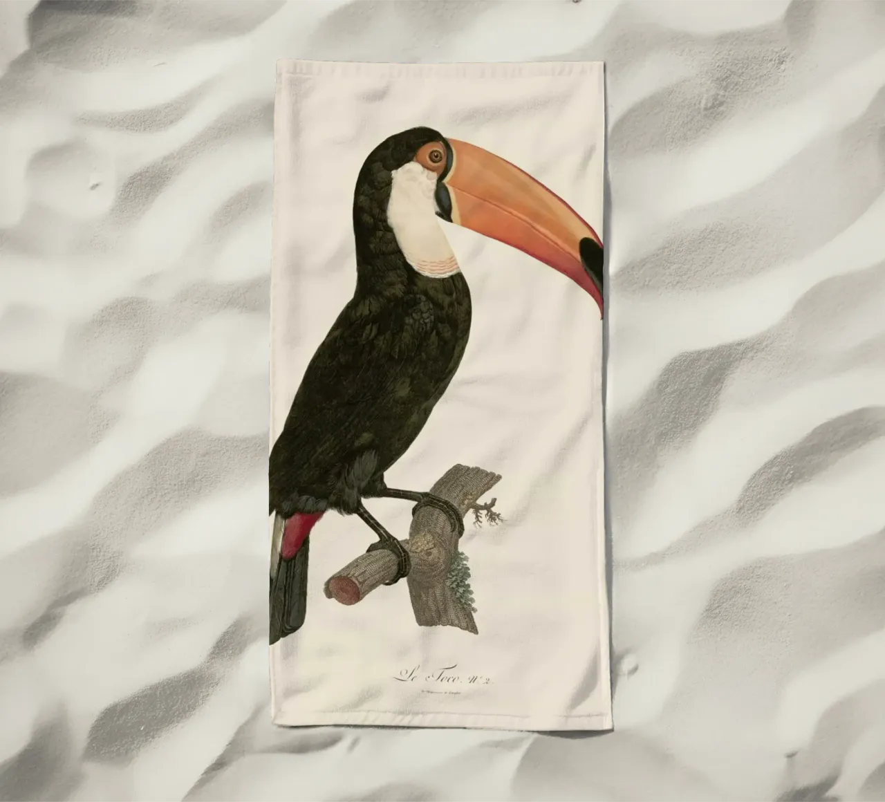 Le Toco telo mare da Astër