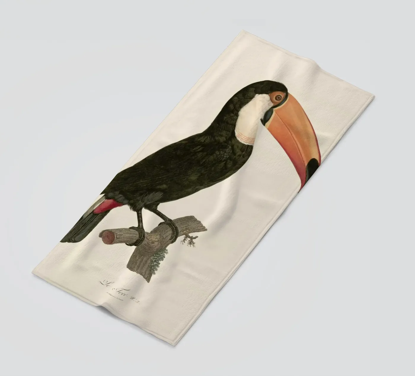 Le Toco Strandtuch von Astër