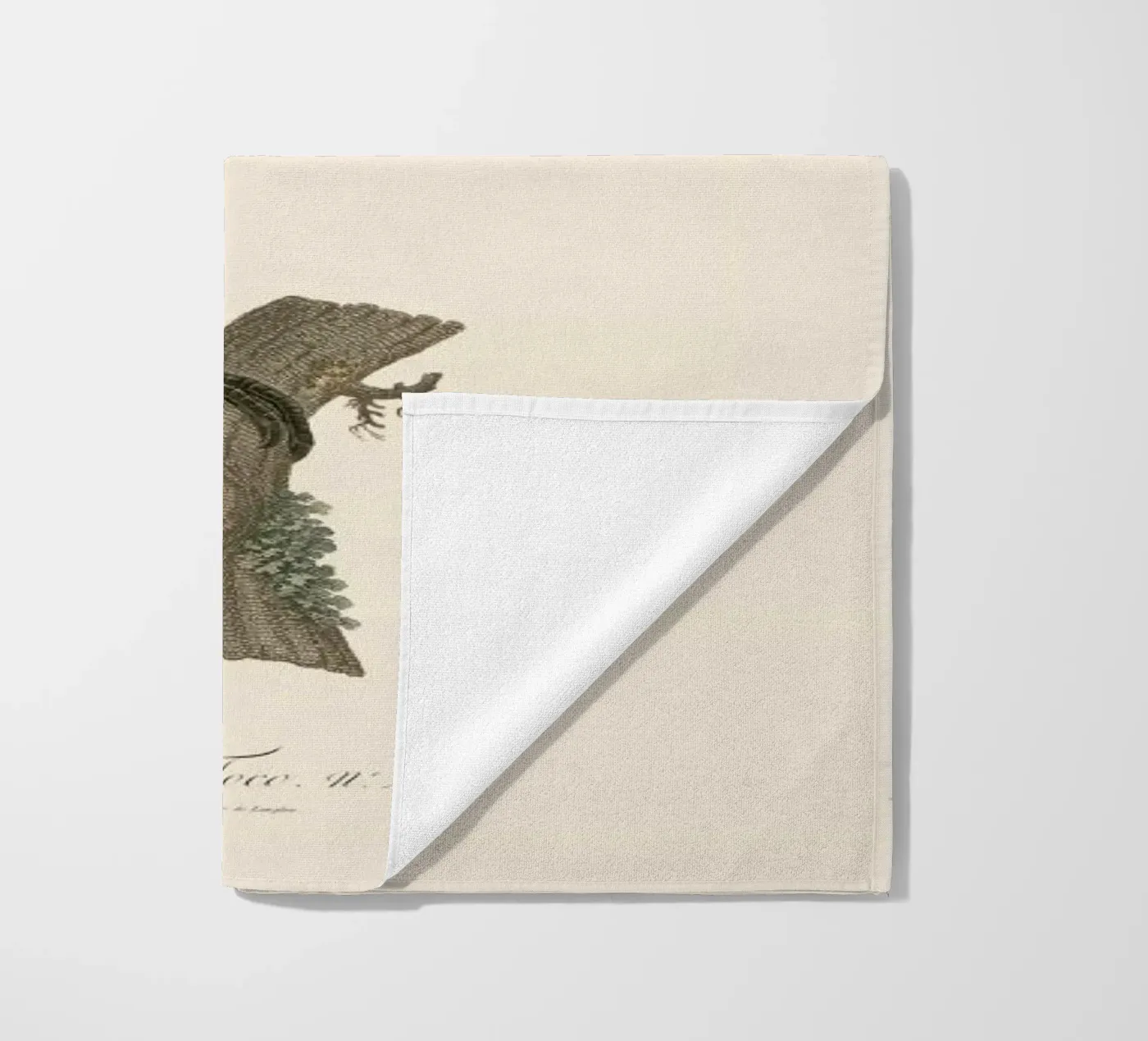 Le Toco telo mare da Astër