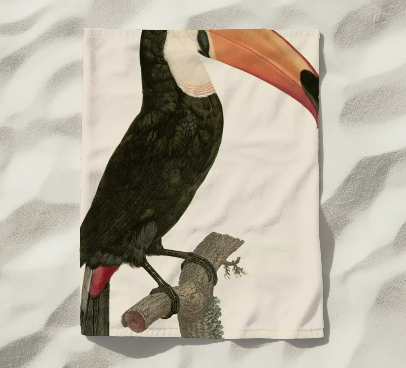 Le Toco telo mare da Astër