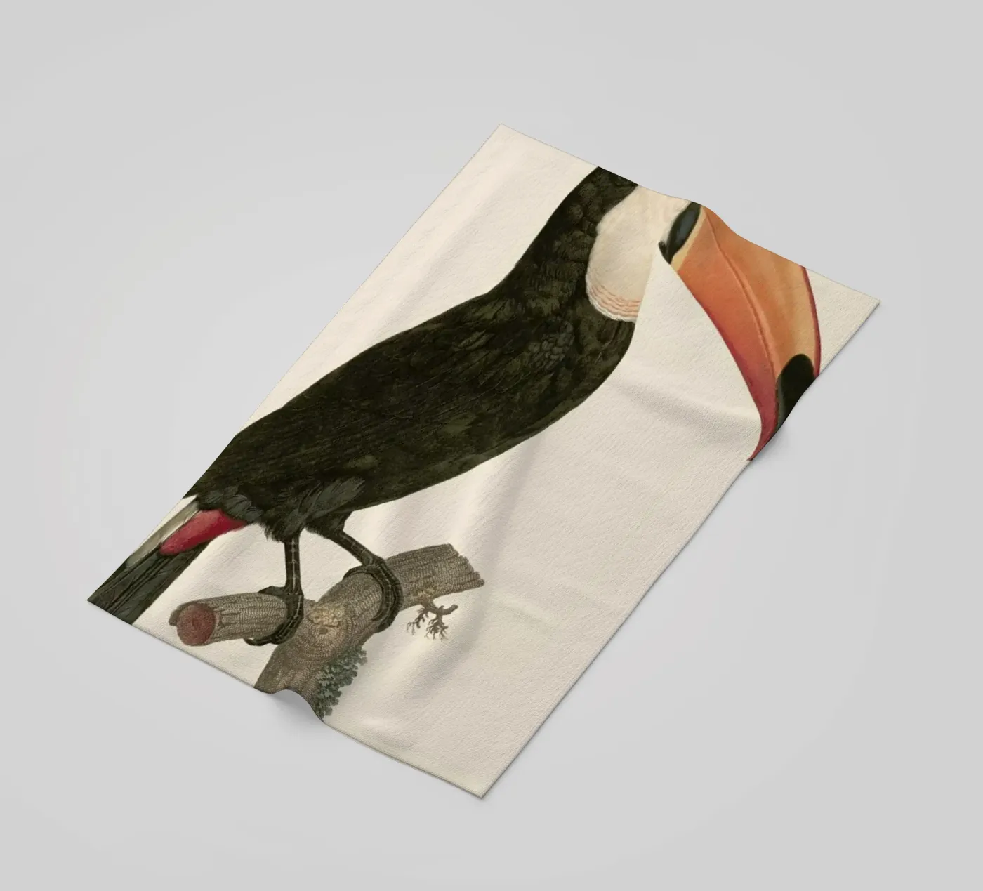 Le Toco Strandtuch von Astër