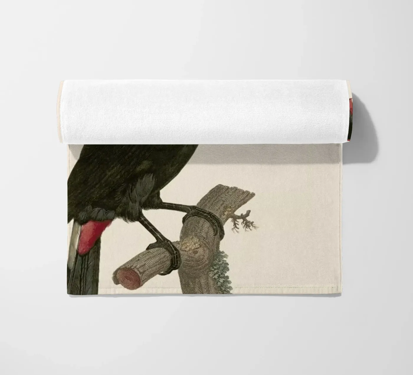 Le Toco telo mare da Astër