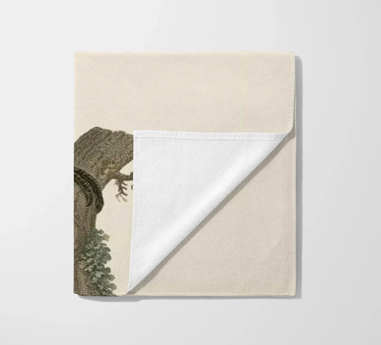 Le Toco telo mare da Astër