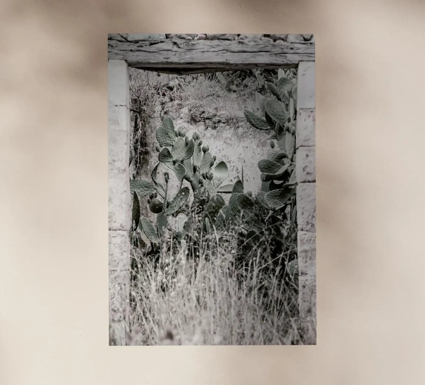 Nature Rules pellicola backlit da Shot By Clint