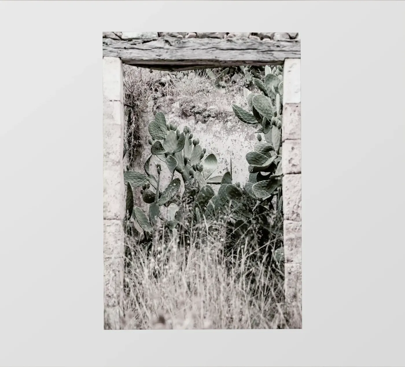 Nature Rules pellicola backlit da Shot By Clint